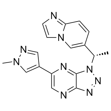 savolitinib savolitinib